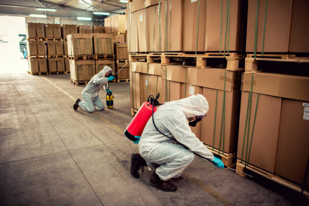 Best Exterminator Services  in Willow Oak, FL