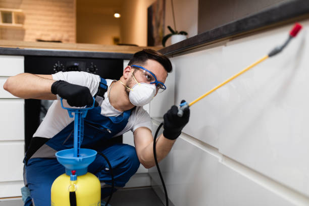 Best Pest Prevention Services  in Willow Oak, FL