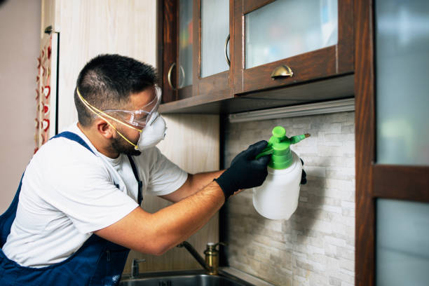 Best Bed Bug Extermination  in Willow Oak, FL