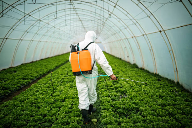 Best Affordable Pest Control Services  in Willow Oak, FL