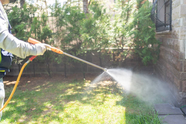 Best Emergency Pest Control  in Willow Oak, FL
