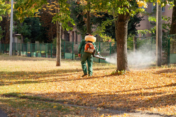 Best Residential Pest Control  in Willow Oak, FL
