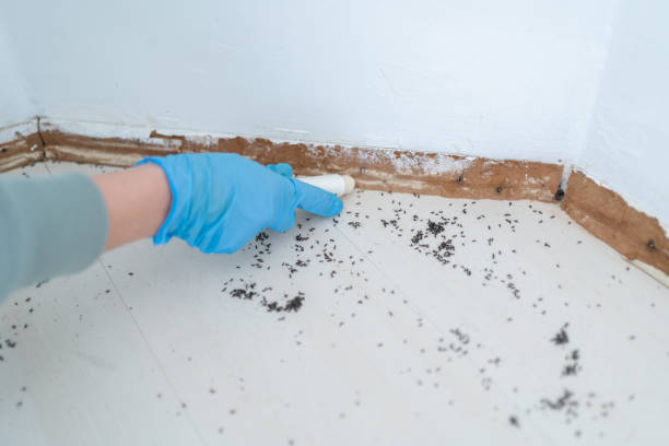 Best Wildlife Control Services  in Willow Oak, FL